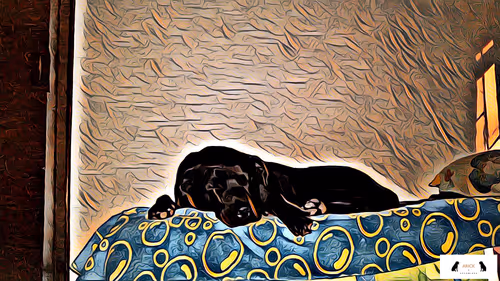 Item #10567450016853403337930259676618451783682953632793231315200837933883176517633 Media