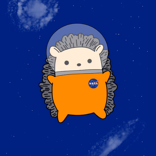 Astronaut Hedgehog