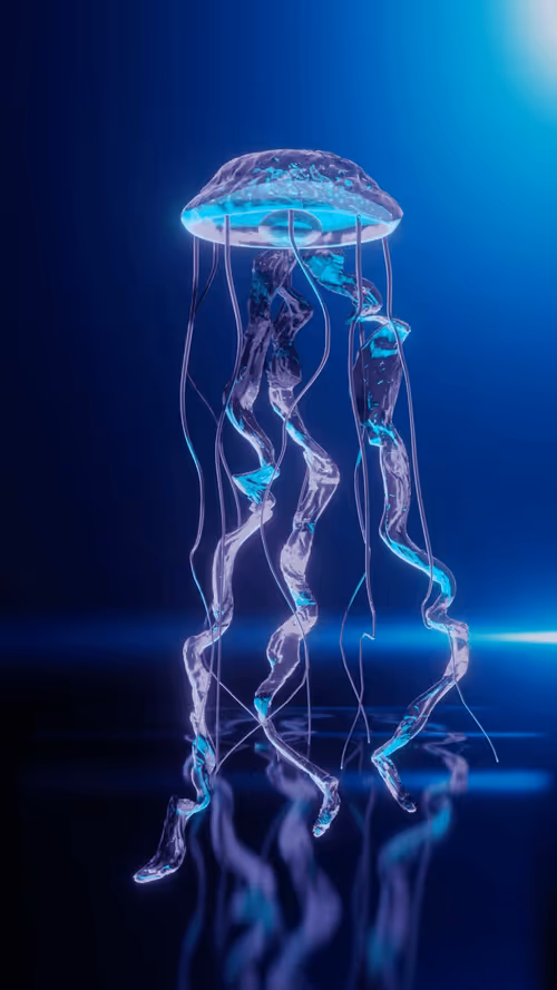 Item #34407012467013264369072826680281558624243883765584913843852975013269524709377 Media