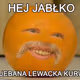 60278959863177171475084332353285903594381749572161106186839501550230886678529
