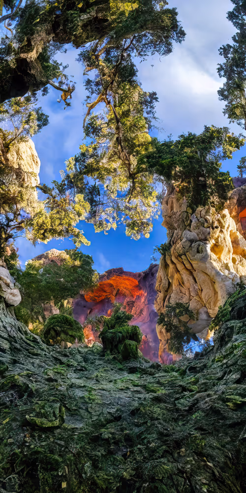 Item #53204195999668057401361450590388499232587888718751066529720239279605572173825 Media