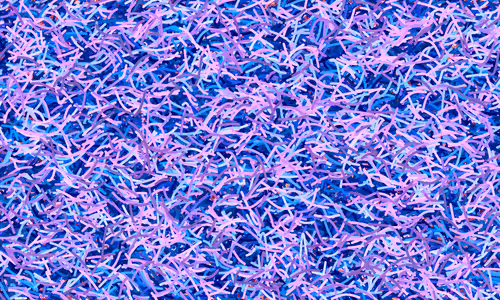 Item #37671797252818830032645010018488858802778721291022166209366081443269441486849 Media