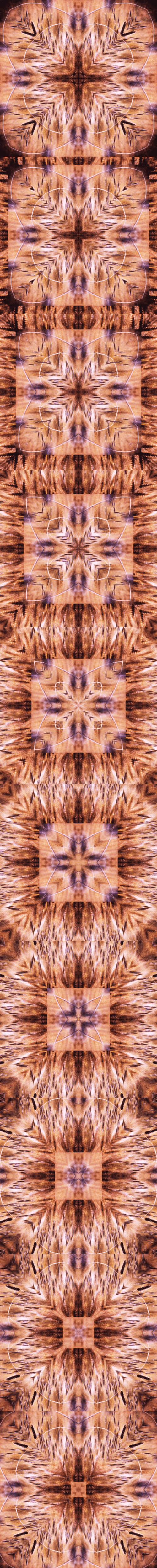 Item #33273431064062745158281459223994481396408298461003960329838769679937392607237 Media