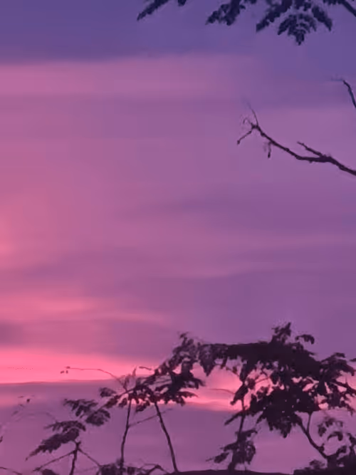 Item #83958100256980711035398363150481960541013843163520717239348696169418005151745 Media