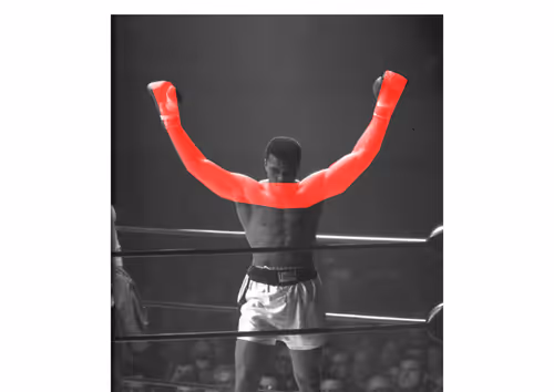 Item #25007129056423640107254874715474966482687588551377047947925146968951896408164 Media