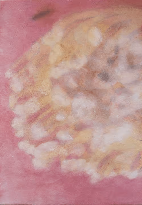 Item #72925079646173943955019179802066495558357068765344184678483369695816250818570 Media