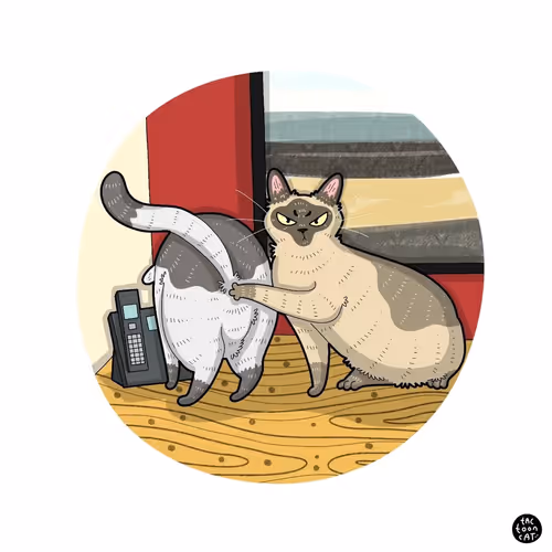 Item #16488486045364233505431367691084507643707079012103532060865259044399640215553 Media