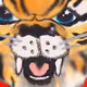 34824153300689208975519452713657227889438642962256039476977672055730049384449