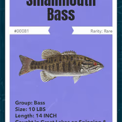 11587606933288487233709956499563114652187662415934773553861794763635393822721