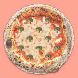 47891714998489968120364573701004085014275156290089657267517470077661141270529