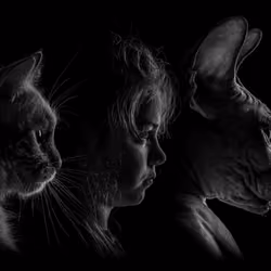 Evolution