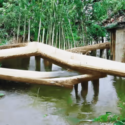 70766793388927112416592927120397770212412797709765029929861057624473964904449