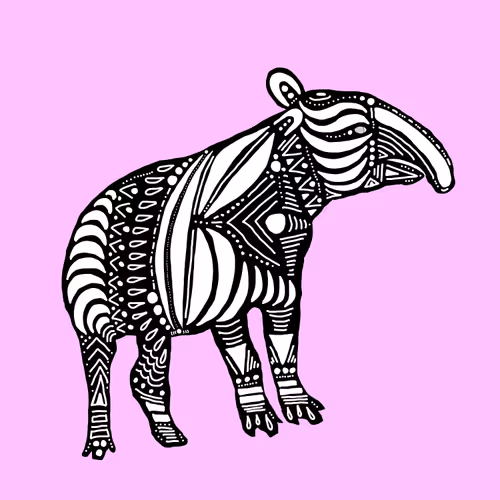 Item #23719157219344405114565846685502868048607638057936986317710031319341664829441 Media