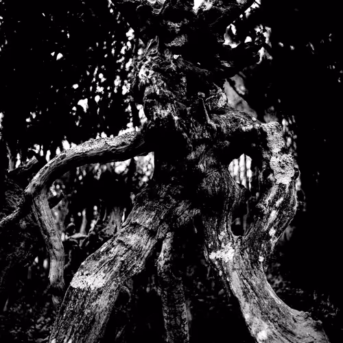 73754067670666287486777451025371723803701293216623981117739972842092167692289