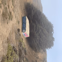 Pacifica trails