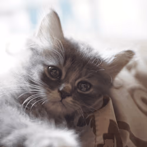 Item #15865915899171171774737831859124075338871041403581464105966369609848629231617 Media