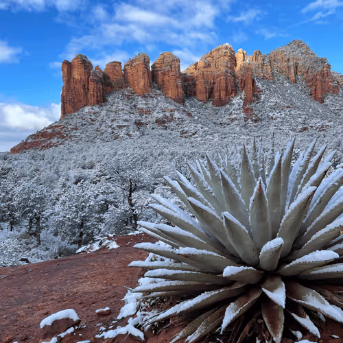 Untitled Collection #34748426