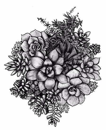 Item #115642348900939839605664246345985153537088577067861875053419533919649334820869 Media