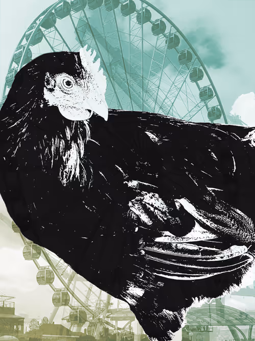 Item #111652930109264043611935341067736255756439208084570795366540966568758096166913 Media