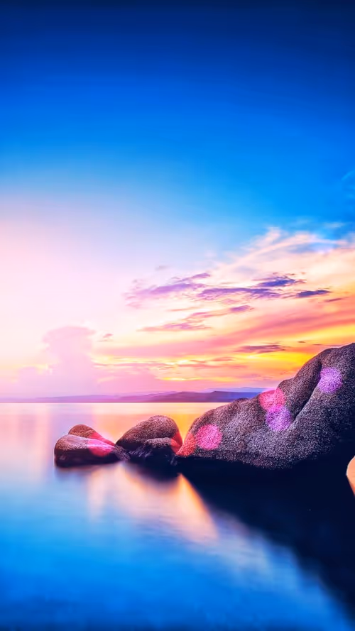 Item #107157661674399532020193869285985470942200404243098090028223732800717276053505 Media