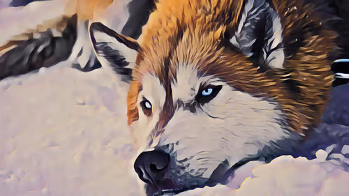 Item #74388721199083954673298778298232823886096642493620239959546432233463774969857 Media