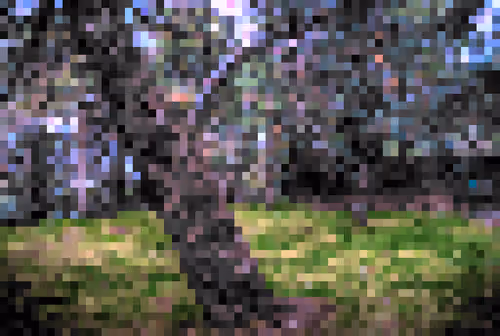 Only Tree 2