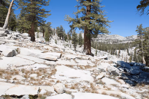 Item #21039072579662627083950365953116691379862102836667231441019030760333827375114 Media