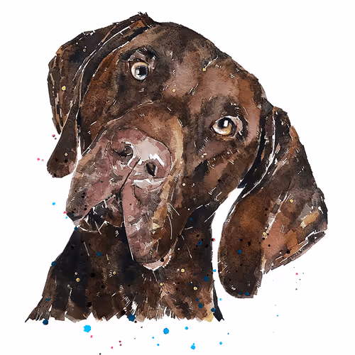 Item #15308155937593783866228062712704217529335676444312394672786838655707274805253 Media