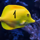 39252279508904821734030825946169337190124296247225418243614606227202098855937