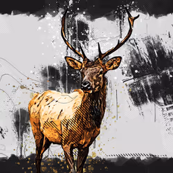 11276162529628641556553056529614973332754405277106184420845745467724870451201