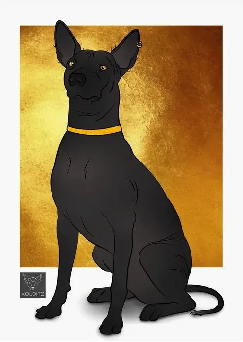 Item #115412186582648874764752321087999128692557907064492986516876109644744800337921 Media