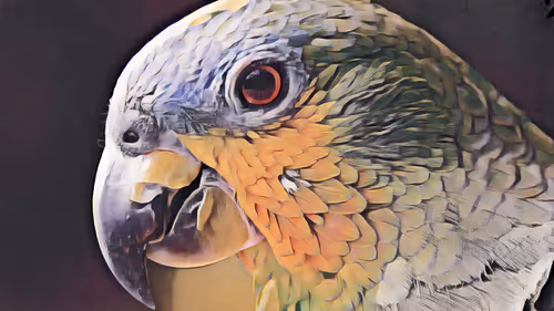 Item #74388721199083954673298778298232823886096642493620239959546432235662798225409 Media