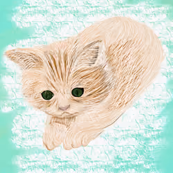 anabul #003