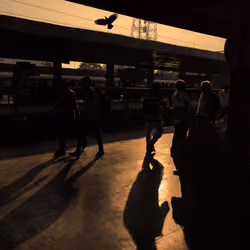 CHASING LIGHT IN THE DARKNESS 
