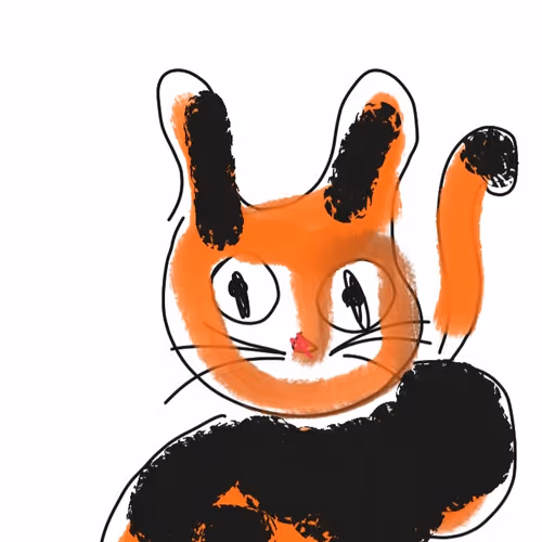 My funny cat