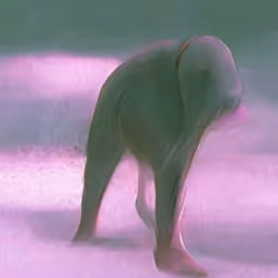 81389452228015721923544690746270190594299388963234071450728085730777838387203