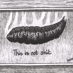 52333184691551438724551134062183021721326505383247330660854075133376916881409