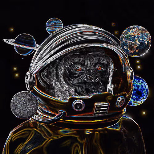 Monkey Space 