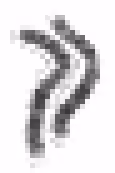 Bit chromosome 2/23