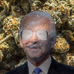 21688527815507990779780435242269546376679550267989735943769102585177200132097