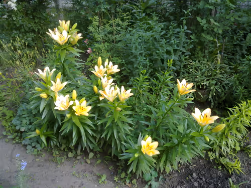 Item #41983459946325006344850038724007157971914249844141491949312561825793580204033 Media