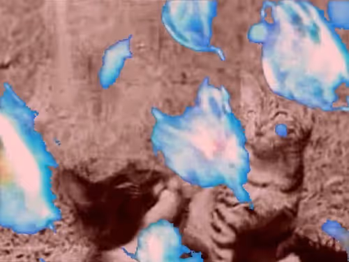 Item #36646306536746230901990345122529070260663114119276003458655038329094158680067 Media