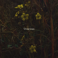 Vivacious