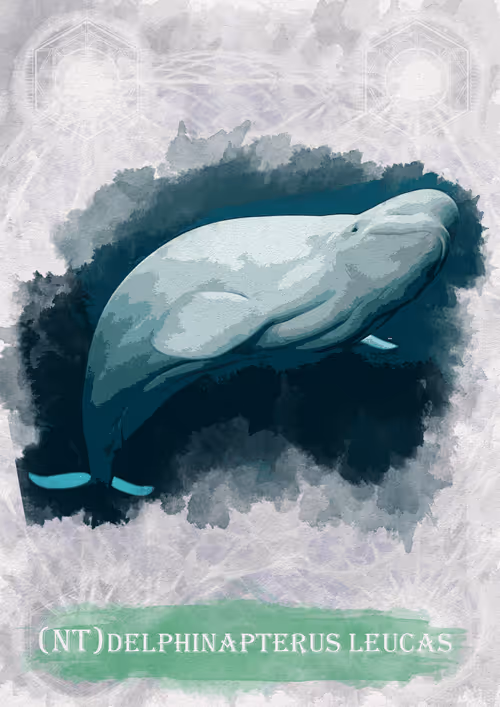 Item #108829080069432666427413762901192148077907568328307962474054884604629477228551 Media