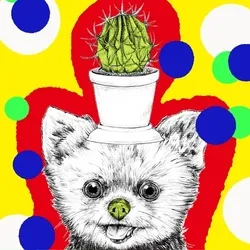 75504568957216009271532412225991883014141589967078103544589205095591492714497