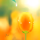 27760740606505028436772887228043030333672300742121364005512513800666076938241