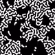 101701094206175850218338394222111736152098102952512760406699235866301983358977