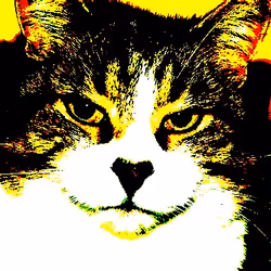 23538819986925566434507765811444276093104658907602947149672917157989975064577