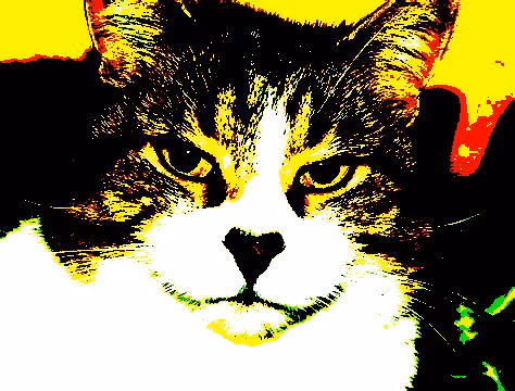 23538819986925566434507765811444276093104658907602947149672917157989975064577