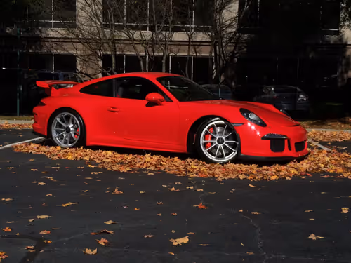 Item #28798032235432001853545280497166792369992184390522360456879523948930495676426 Media